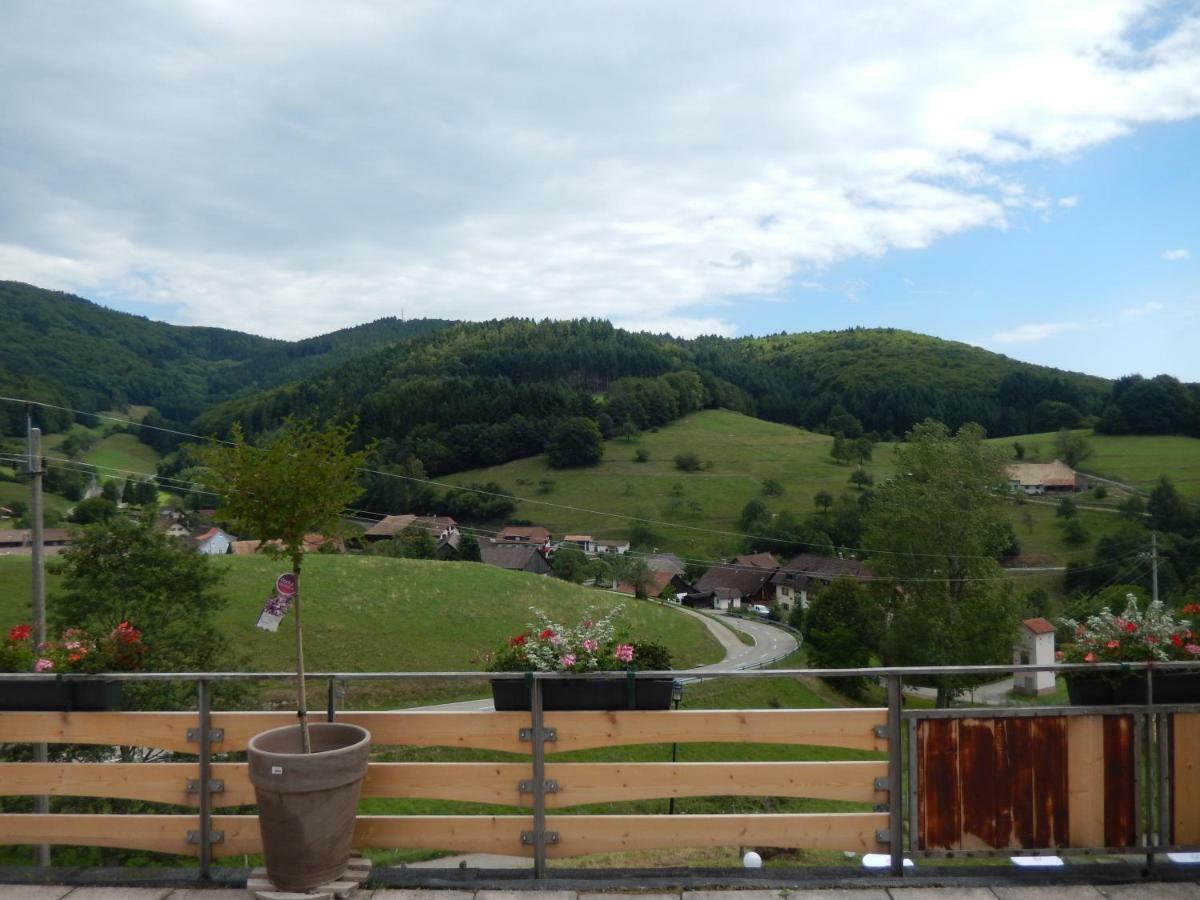 Hotel Landgasthof Zum Pflug Kleines Wiesental Exterior foto